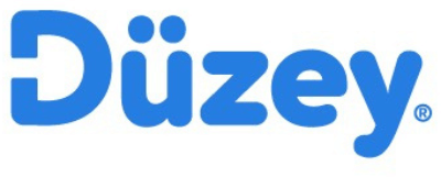 Düzey